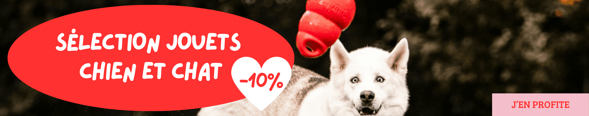 Sélection jouets chien et chat : -10%