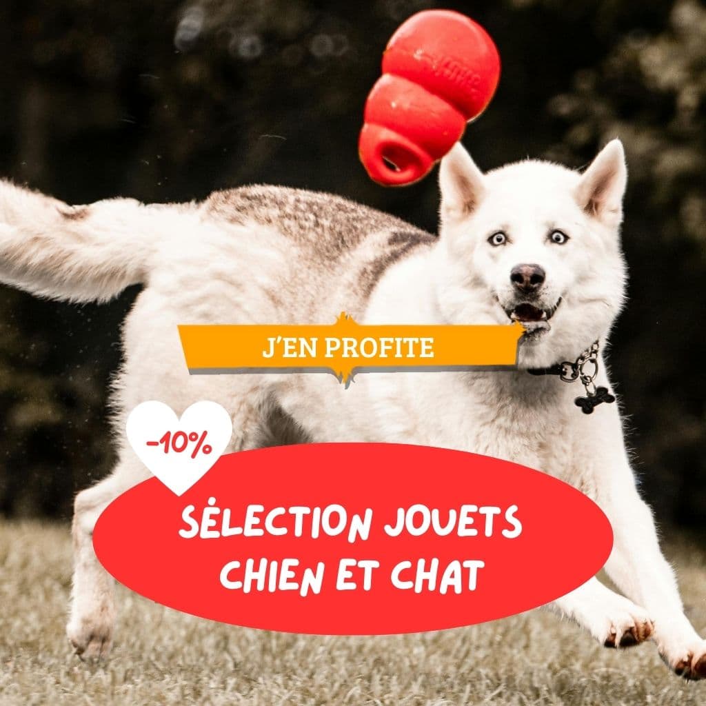 Sélection jouets chien et chat : -10%