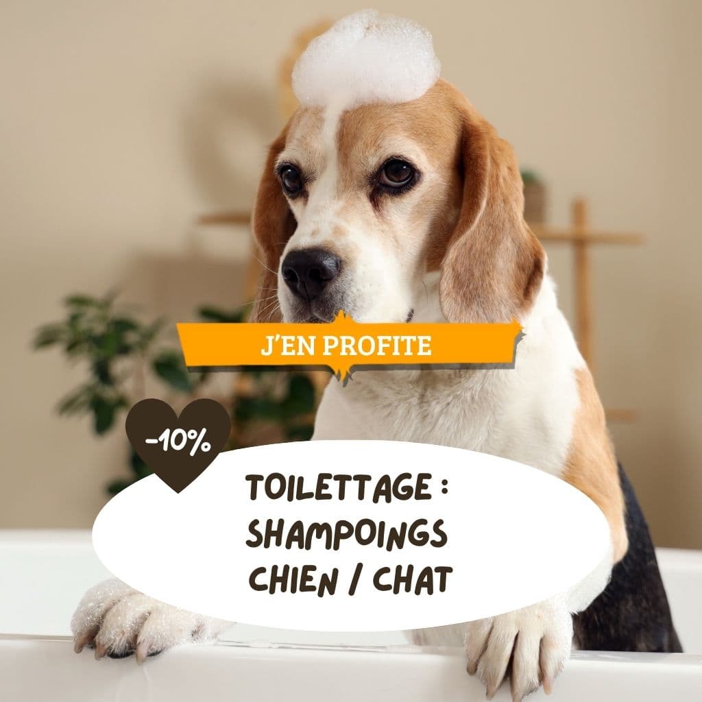 Toilettage : shampoings chien / chat