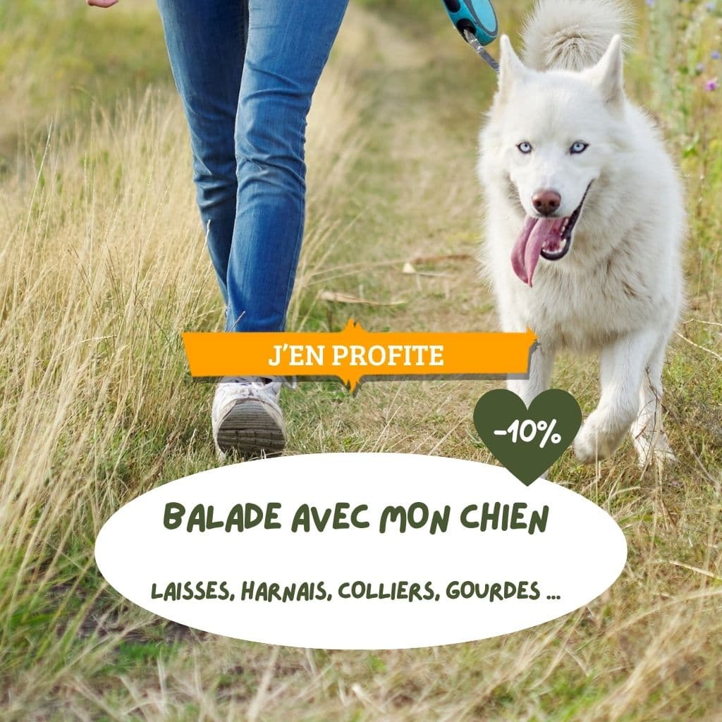 Balade avec mon chien laisses, harnais, colliers, gourdes ...