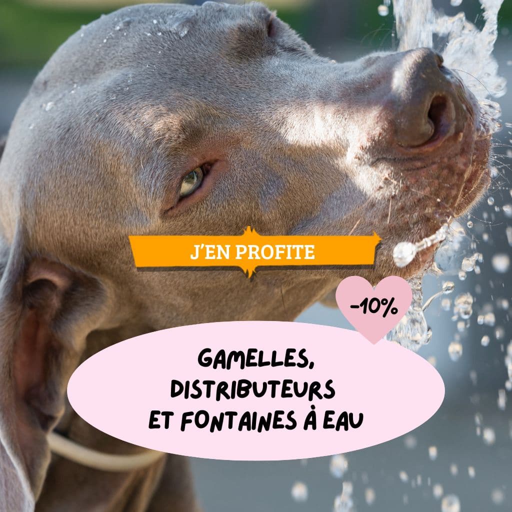 Gamelles, distributeurs et fontaines à eau : 10% de remise
