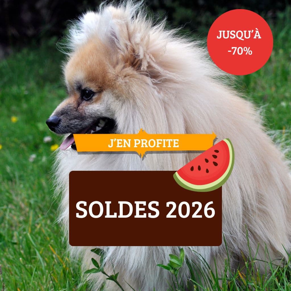 Soldes 2026