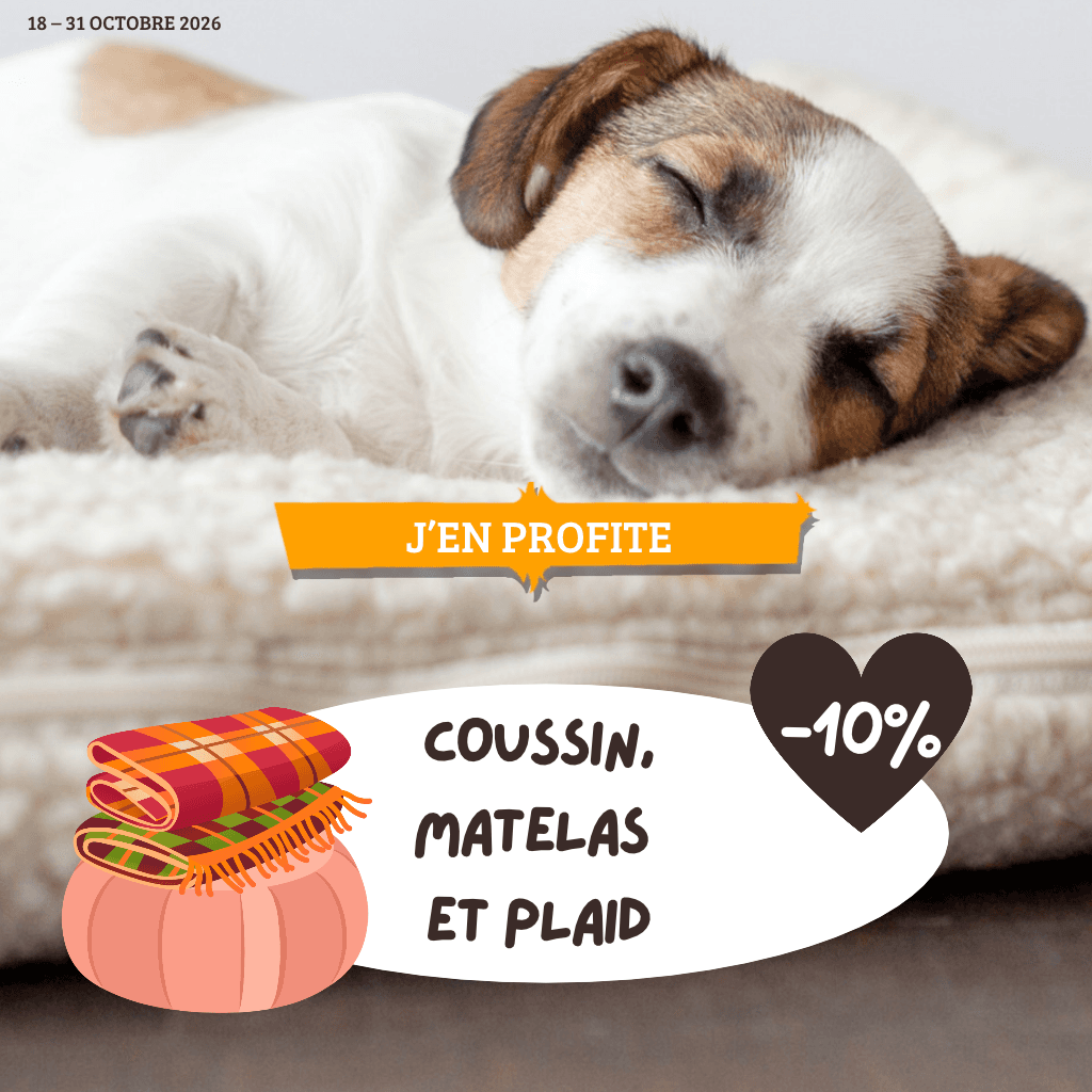 Coussin, matelas et plaid : 10% de remise